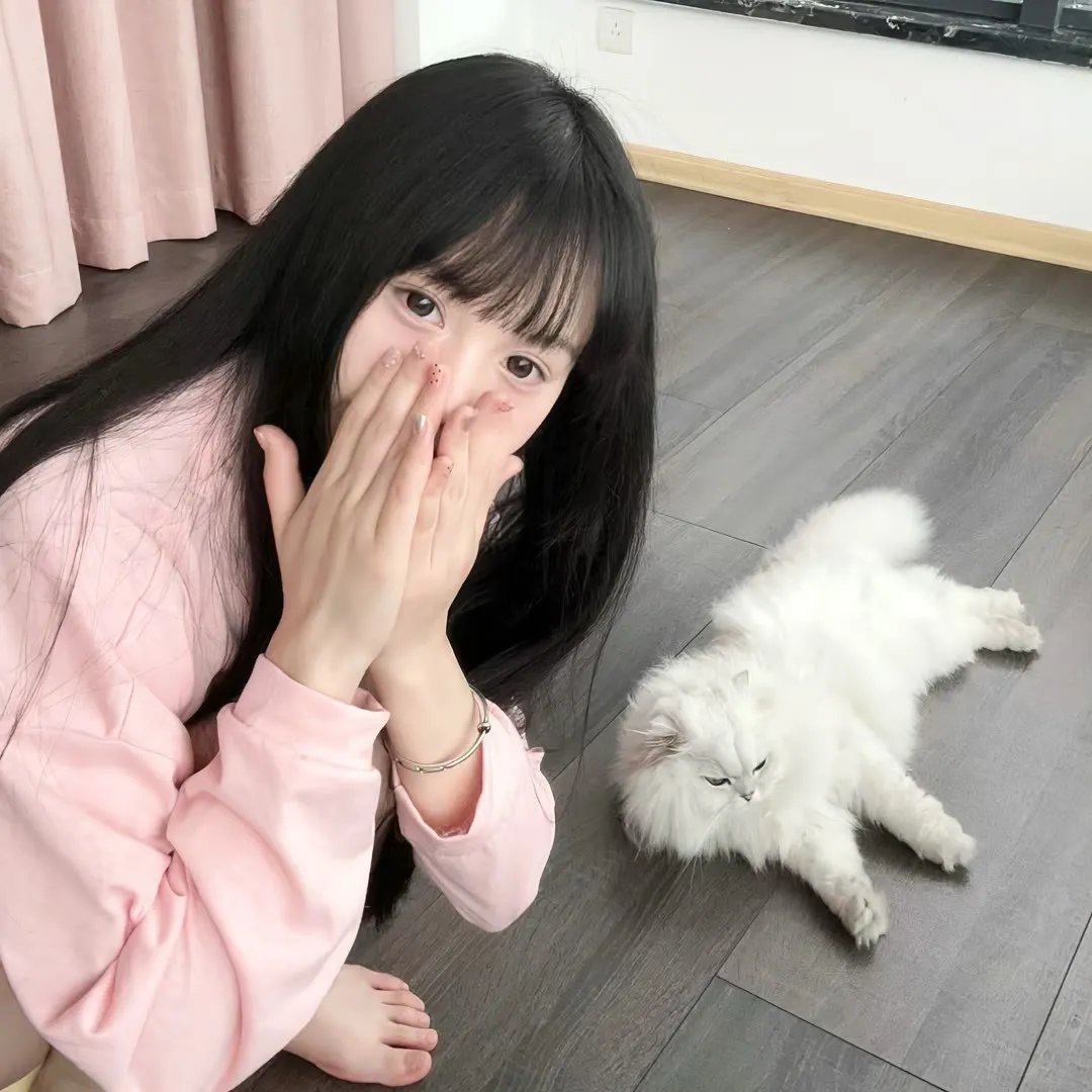 朋友们